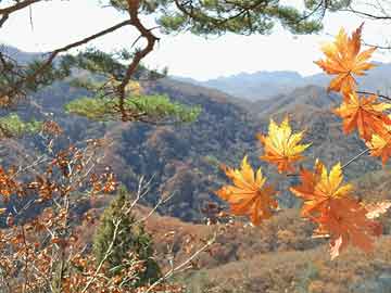 微信多开神器！苹果多开苹果香，UDID定制版微信更适配